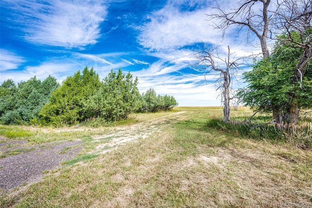 37615 Comanche Creek Rd, Kiowa, CO 80117 - photo 41