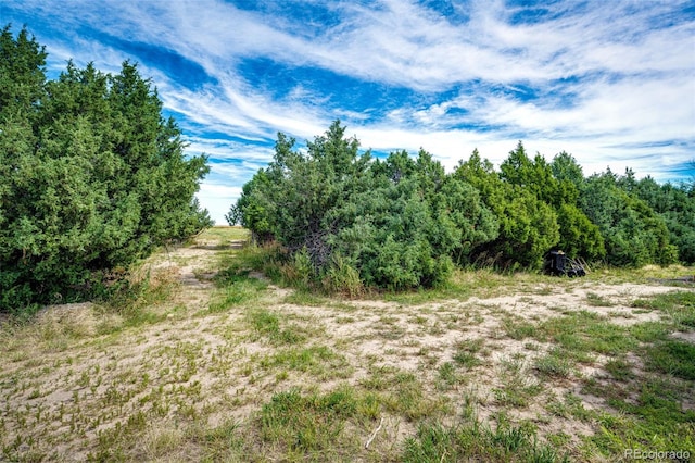 37615 Comanche Creek Rd, Kiowa, CO 80117 - photo 42