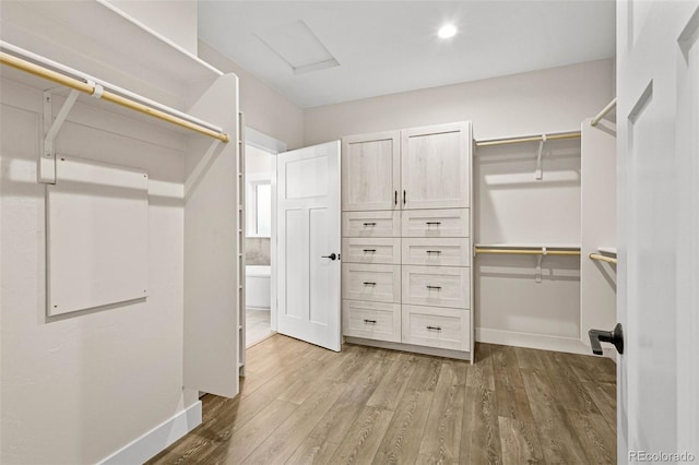 spacious closet featuring light wood-type flooring