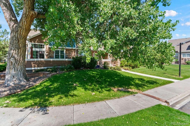 13231 Holly St Unit B, Thornton, CO 80241 - view of property hidden behind natural elements with a front lawn and stone siding