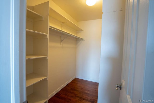 13231 Holly St Unit B, Thornton, CO 80241 - walk in closet with dark wood-style floors