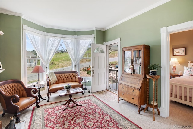 220 E Eaton Ave, Cripple Creek, CO 80813 - living area with crown molding and carpet