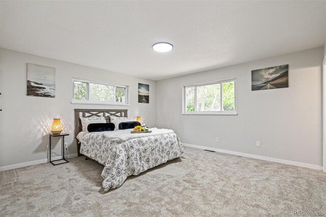 423 Nile St, Aurora, CO 80010 - bedroom with multiple windows, carpet flooring, and baseboards