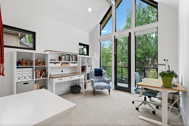 office with light colored carpet and high vaulted ceiling