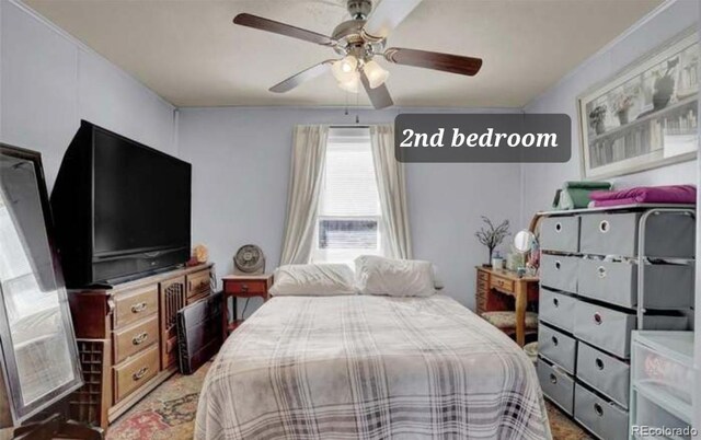 24119 Eccles St, Elbert, CO 80106 - photo 17