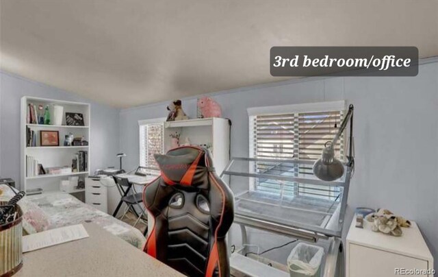 24119 Eccles St, Elbert, CO 80106 - photo 20