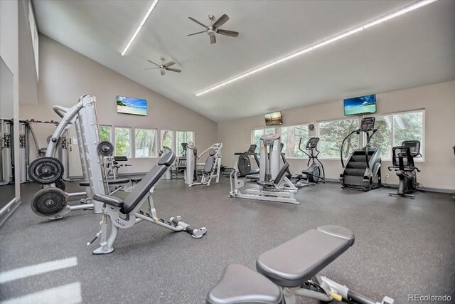 2900 Shadow Creek Dr Unit 201, Boulder, CO 80303 - exercise room with plenty of natural light, a ceiling fan, and vaulted ceiling
