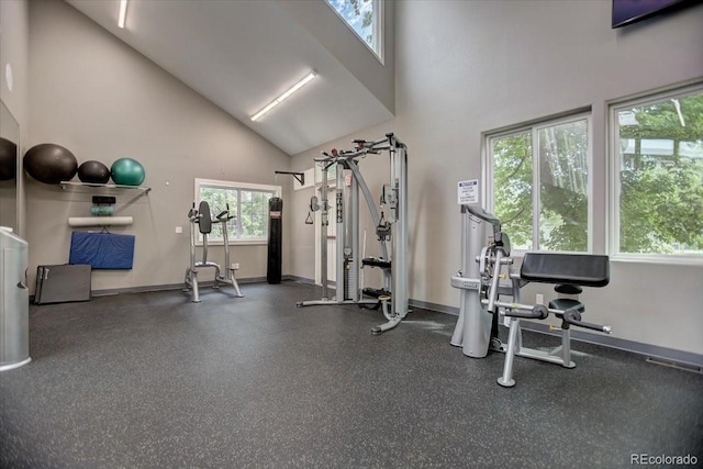 2900 Shadow Creek Dr Unit 201, Boulder, CO 80303 - workout area featuring a high ceiling, plenty of natural light, and baseboards