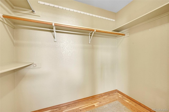 walk in closet featuring hardwood / wood-style floors