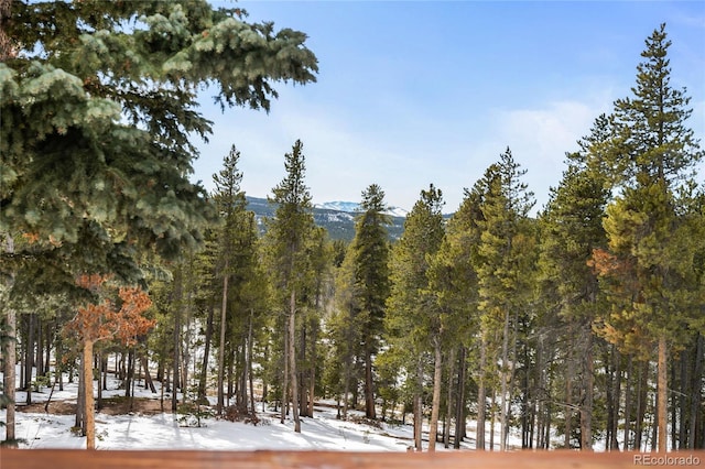 view of snowy landscape