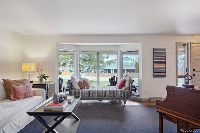 living room with a wealth of natural light