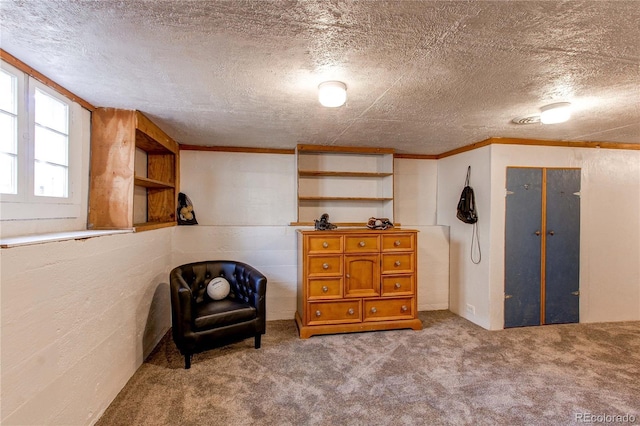 sitting room featuring a textured ceiling and carpet