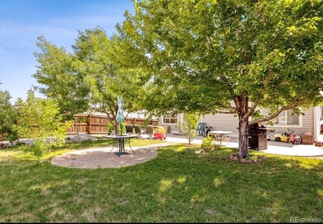 view of yard featuring a patio