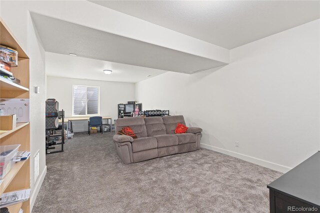 1074 Acadia Cir, Erie, CO 80516 - photo 34