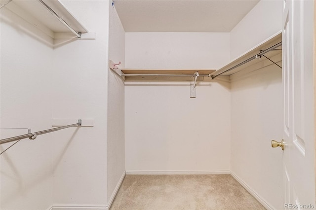 2035 Overland Dr, Brighton, CO 80601 - walk in closet with carpet flooring