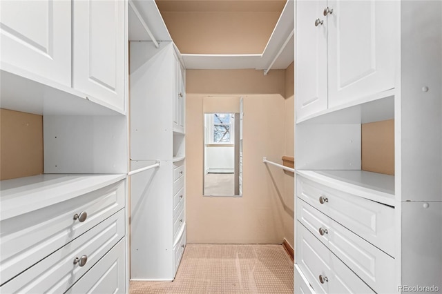2351 Federal Blvd Unit 102, Denver, CO 80211 - view of spacious closet