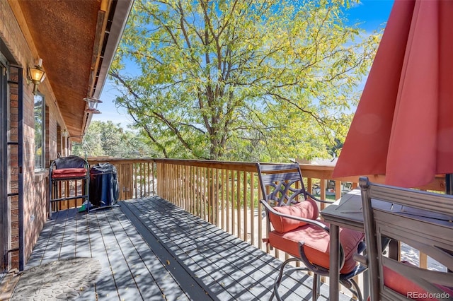 1810 Youngfield Ct Unit A, Golden, CO 80401 - photo 24