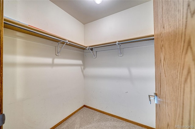 walk in closet with carpet