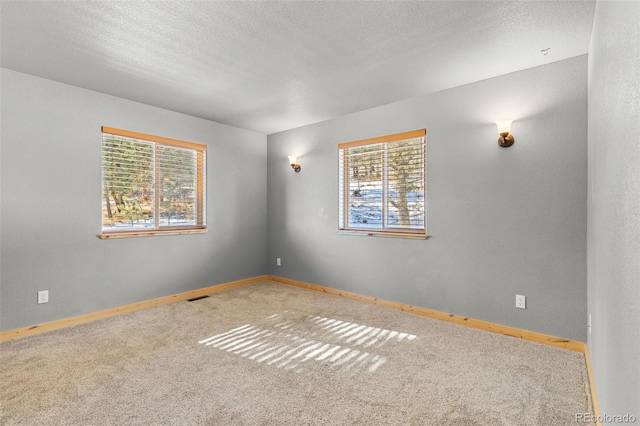 carpeted empty room with plenty of natural light and a textured ceiling