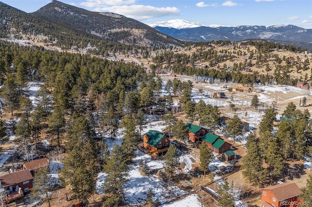 birds eye view of property featuring a mountain view