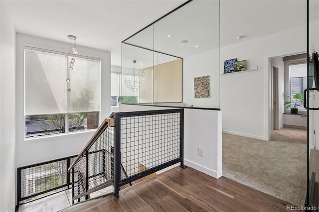 interior space featuring baseboards, carpet floors, and wood finished floors