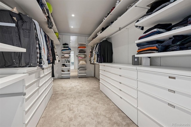 spacious closet featuring light colored carpet