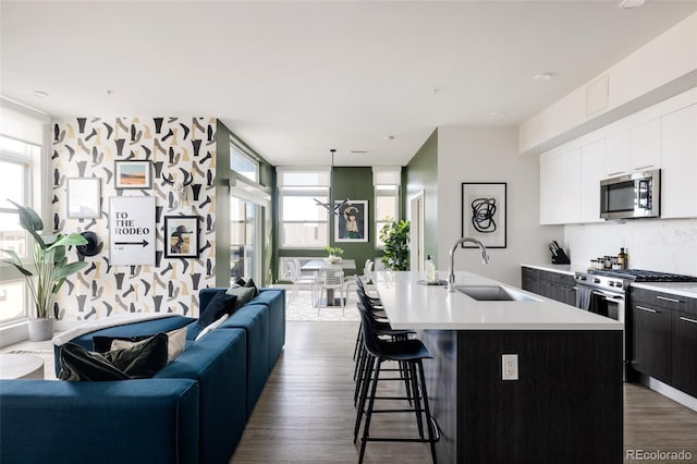 kitchen featuring stainless steel appliances, sink, an island with sink, and a wealth of natural light