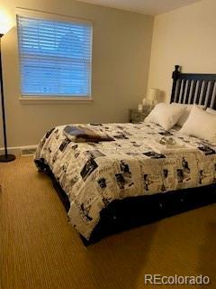 9060 E Cherry Creek S Drive E, Denver, CO 80231 - bedroom featuring carpet floors and baseboards