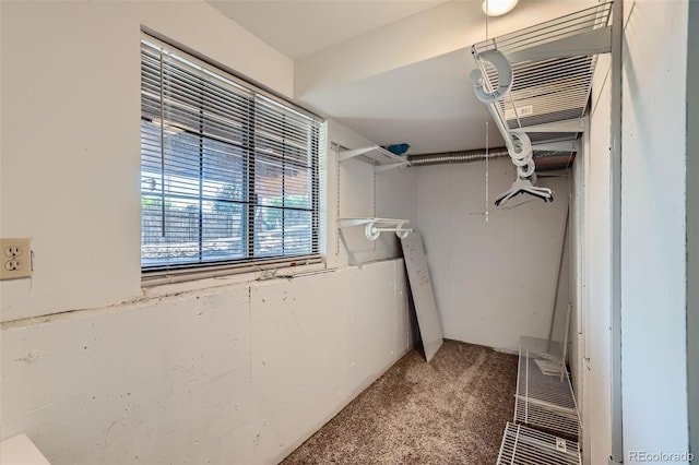 walk in closet with carpet