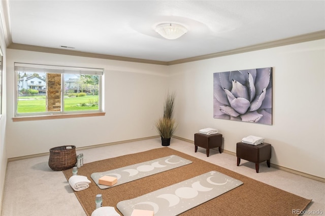 workout room with crown molding and carpet