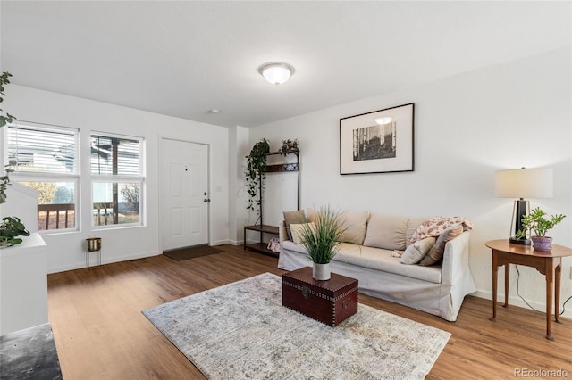 living area featuring baseboards and light wood finished floors