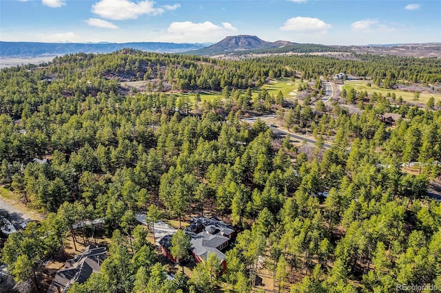 drone / aerial view featuring a mountain view