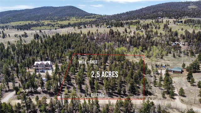 1667 Singletree Rd, Hartsel, CO 80449