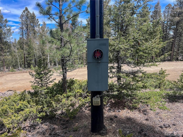1667 Singletree Rd, Hartsel, CO 80449