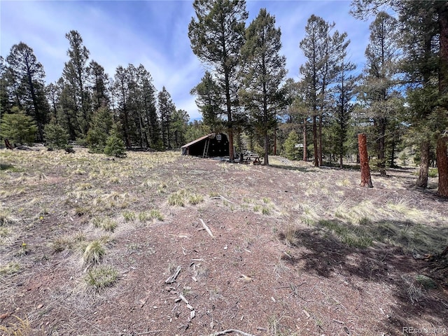 1667 Singletree Rd, Hartsel, CO 80449