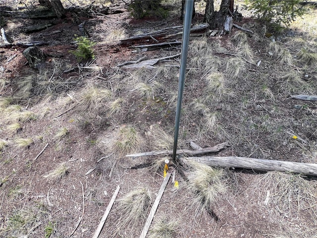 1667 Singletree Rd, Hartsel, CO 80449