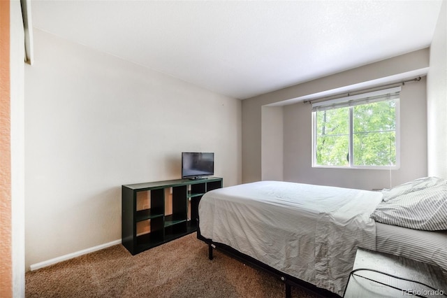 9316 Harrison St, Thornton, CO 80229 - carpeted bedroom featuring baseboards