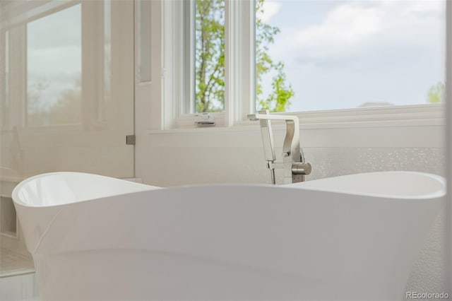 bathroom featuring a freestanding bath