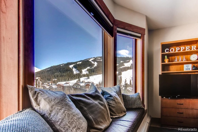45 Beeler Pl Unit 2309, Copper Mountain, CO 80443 - photo 18