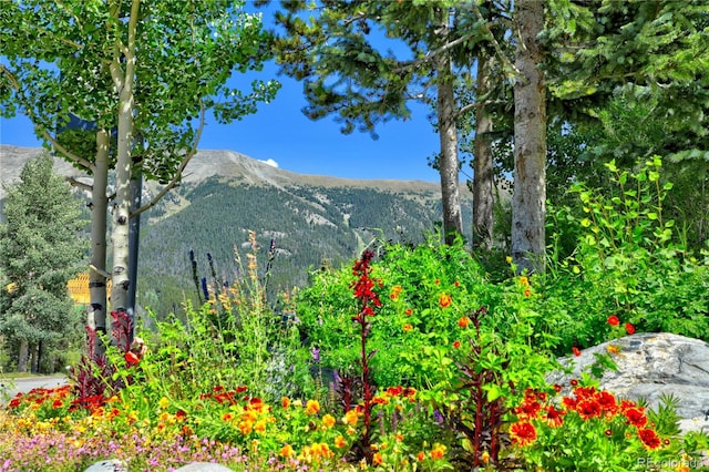 45 Beeler Pl Unit 2309, Copper Mountain, CO 80443 - photo 28