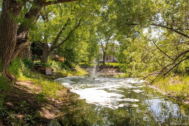 3935 Pierson St, Wheat Ridge, CO 80033 - view of property's community