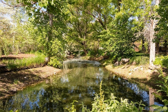 3935 Pierson St, Wheat Ridge, CO 80033 - water view