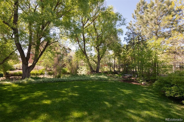 3935 Pierson St, Wheat Ridge, CO 80033 - view of yard