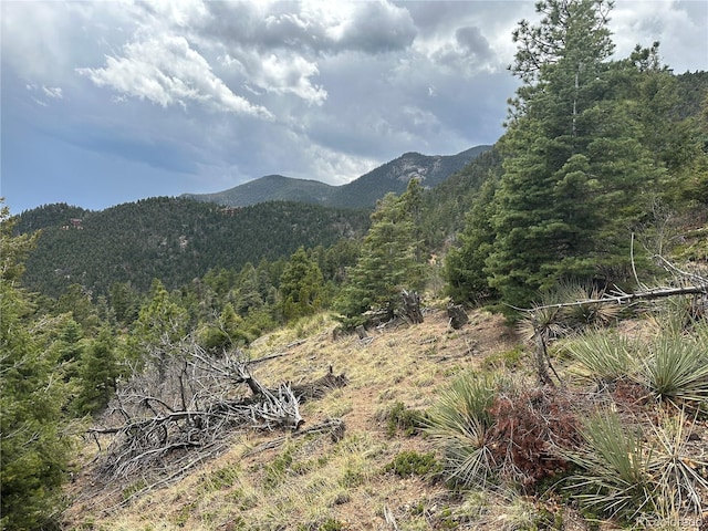 Listing photo 2 for 275 Upper Vista Rd, Manitou Springs CO 80829