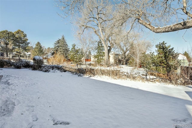 view of yard covered in snow