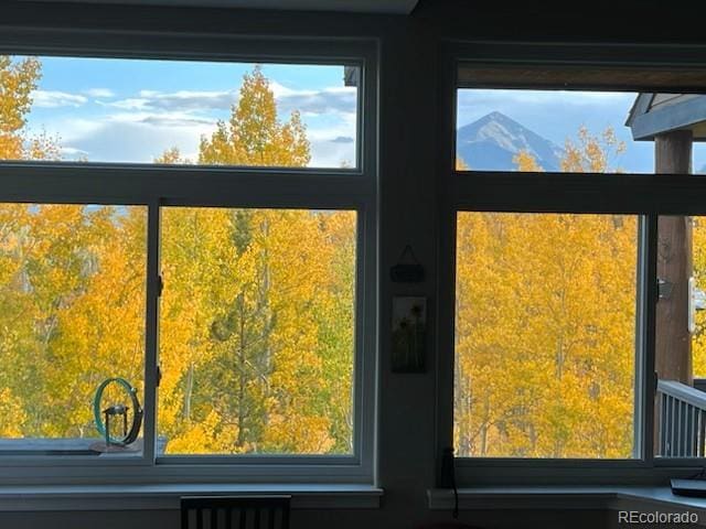 61 Cydney Ln Unit A, Silverthorne, CO 80498 - detailed view of radiator