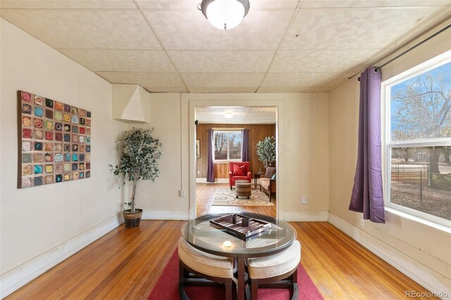 living area with light hardwood / wood-style flooring