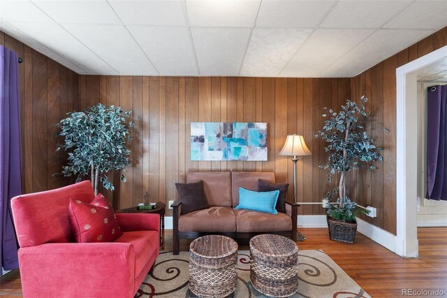 living room featuring wood walls and wood-type flooring