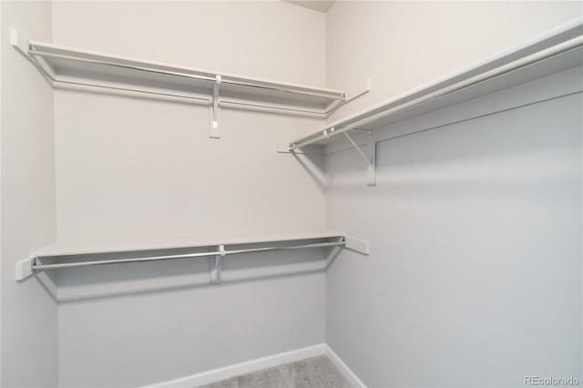 15700 E Jamison Dr Unit 305, Englewood, CO 80112 - walk in closet featuring carpet floors
