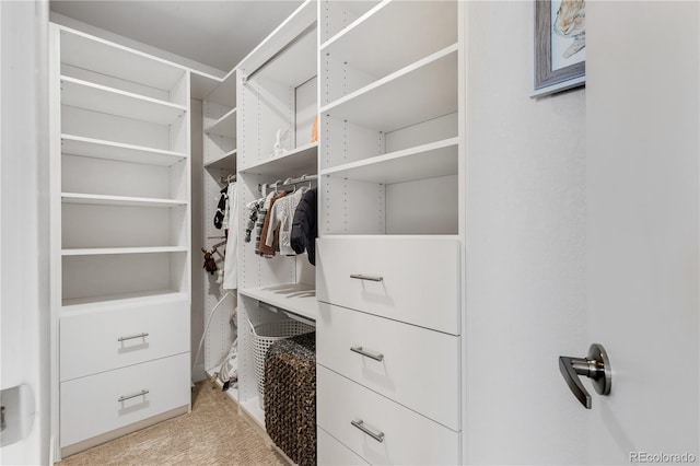 view of spacious closet